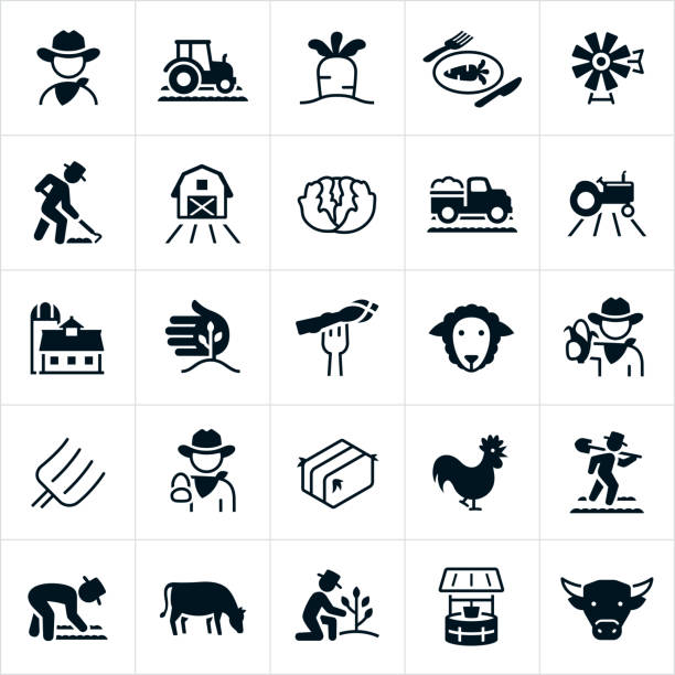 Farming and Agriculture Icons A set of farming and agriculture icons. The icons include farmers, tractor, crops, vegetables, windmill, barn, agricultural field, lettuce, work truck, silo, asparagus, sheep, corn, pitchfork, hay, chicken, cow, bull, well and other related icons. farmer icons stock illustrations