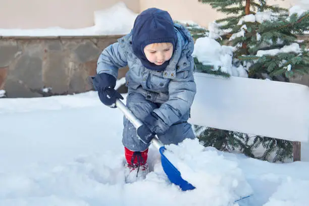 Cute little caucasian baby boy shovels snow in the yard with fir-tree on background. Child with shovel plays outdoors in winter, smiling, pink cheeks. Children hepling, family duties, right behavior, good upbringing. Waiting Christmas, New year eve.