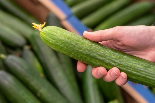 istock Women hand choosing cucumer at supermarket 1146758514