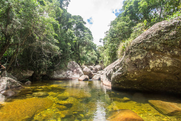 Waterfall and River in a Serra dos Orgaos Park. Petropolis - Rio de Janeiro - Brazil. Brazilian Forest