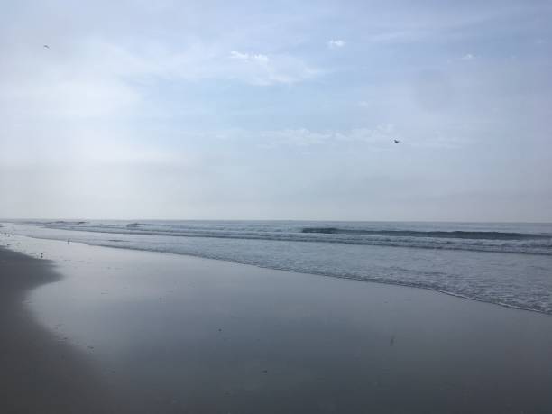 istock Cloudy Morning in Spring on Long Island in New York. 1146765896