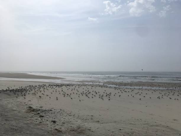 istock Cloudy Morning in Spring on Long Island in New York. 1146765949