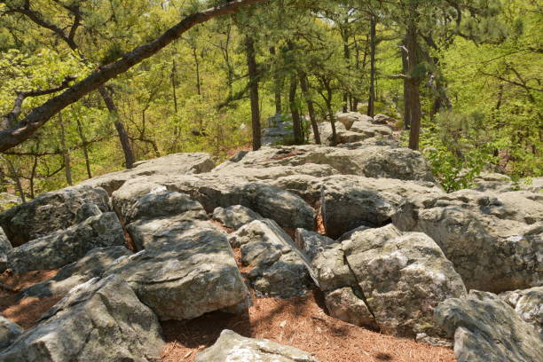 istock Spring time at Catoctin Park in Maryland 1146766969