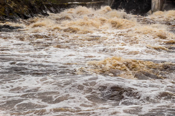 istock Stormy mountain river with large waves 1146768924