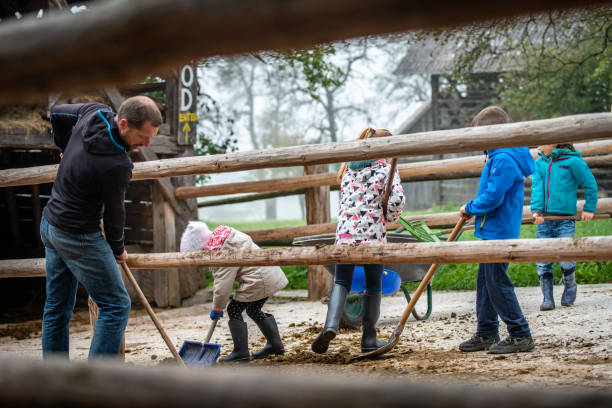 istock Group pf children cleaning horse barn area 1146768964