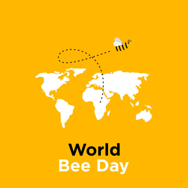 ilustraciones, imágenes clip art, dibujos animados e iconos de stock de plantilla de diseño del día mundial de la abeja - surveillance world map globe planet