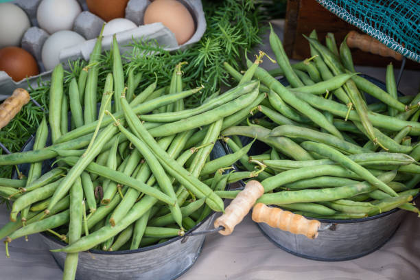 fagiolini freschi in vendita al mercato contadino - green bean bean green bucket foto e immagini stock