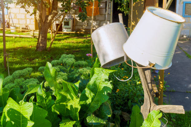istock Two iron buckets hanging upside down on the branch 1146775881