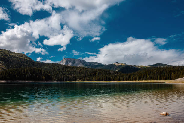 istock Black Lake with pine forest and rock mountain background . 1146777805