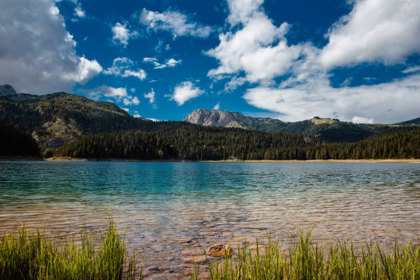 istock Black Lake with pine forest and rock mountain background. 1146777806