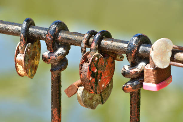 istock Various Colorful Locks Hanging on a Metal Railing Outside 1146778879