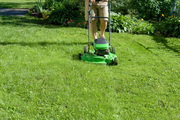 istock Man cutting the lawn on a summer day 1146781790