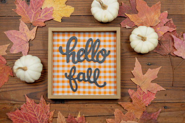 istock Hello fall sign with colorful autumn leaves 1146783242