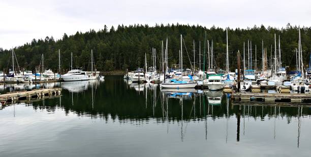 istock Sailboats in a Nanaimo British Columbia harbour 1146785097