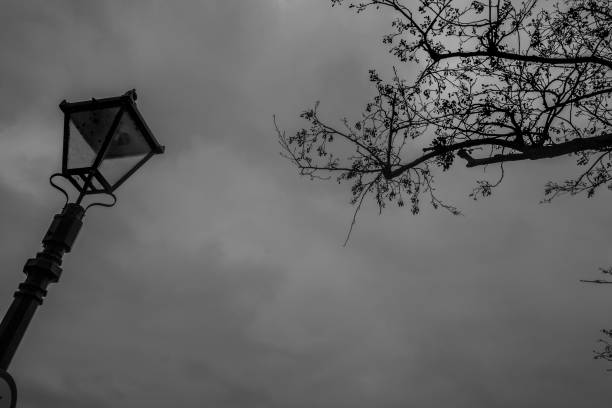istock Street lamp with a sky background. 1146791148