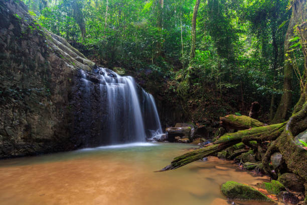 istock Hidden Beautiful waterfall in the Forrest, Beautiful waterfall with green moss 1146794959