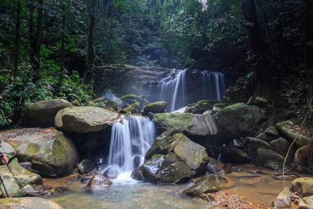 istock Hidden Beautiful waterfall in the Forrest, Beautiful waterfall with green moss 1146794961