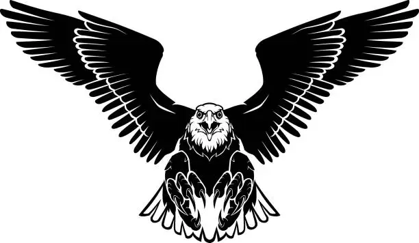 Vector illustration of Bald Eagle Wide Wings Gliding to Land