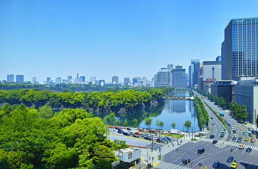 Hibiya Park Forest and Tokyo cityscape