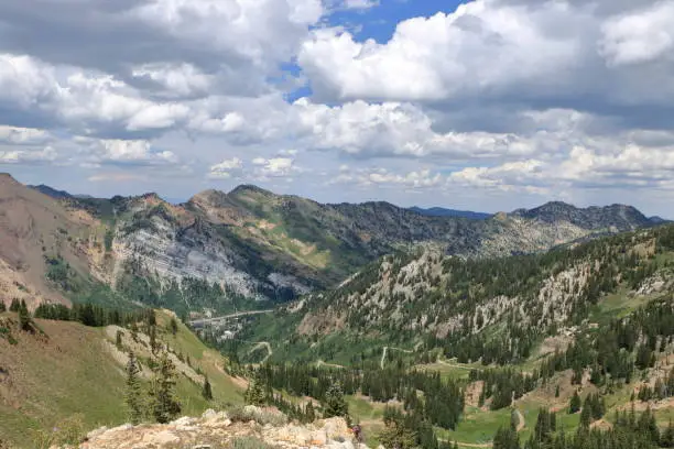 The canyon as seen from a vantage point high on the ridge trail at Snowbird resort. The road leading up to the resort and the nearby town of Alta can be seen at the foot of the mountain range.