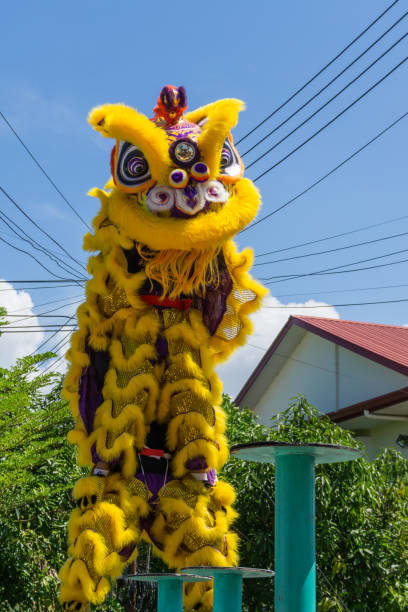 istock lion dance at Chinese New year festival 1146808607
