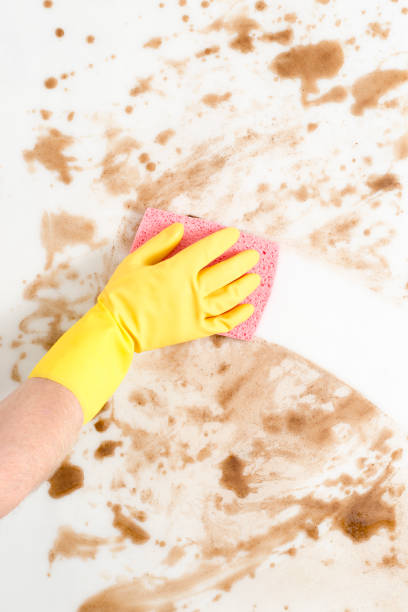 Gloved hand wiping a dirty counter top or floor with a pink sponge