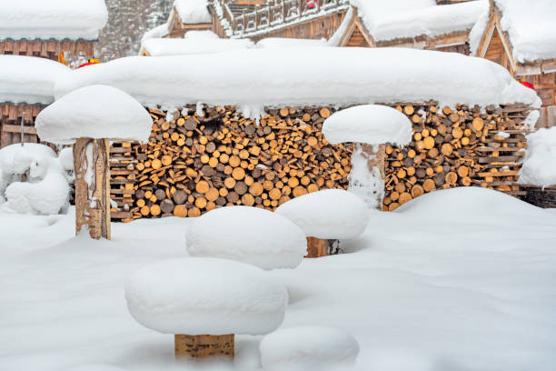 istock Snow Country in Winter 1146816227