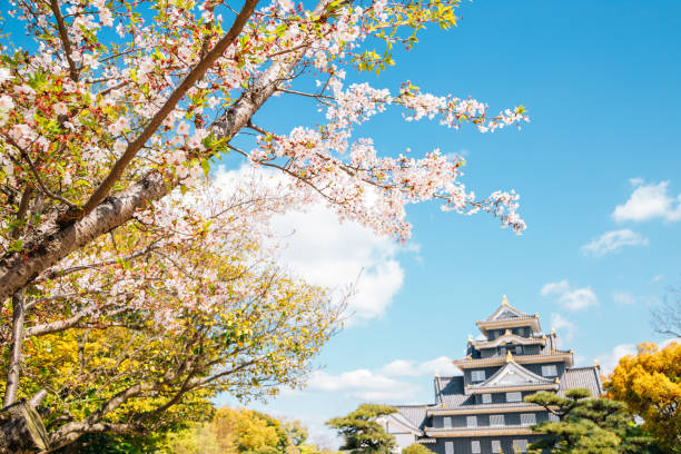 Okayama Castle with cherry blossoms at spring in Japan Okayama, Japan - April 15, 2019 : Okayama Castle with cherry blossoms at spring okayama prefecture stock pictures, royalty-free photos & images
