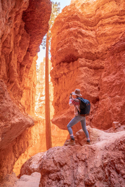 istock Young woman photographing Bryce Canyon using a smart phone 1146816301