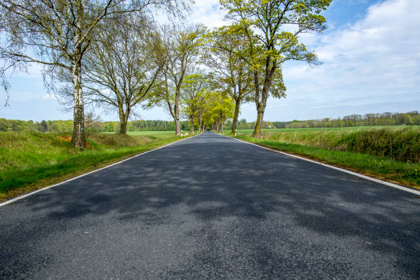 istock country road on a sunny day 1146818370