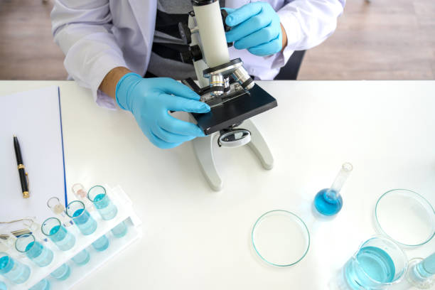 istock Scientist equipment and tools in scientific experiment science Laboratory 1146823083