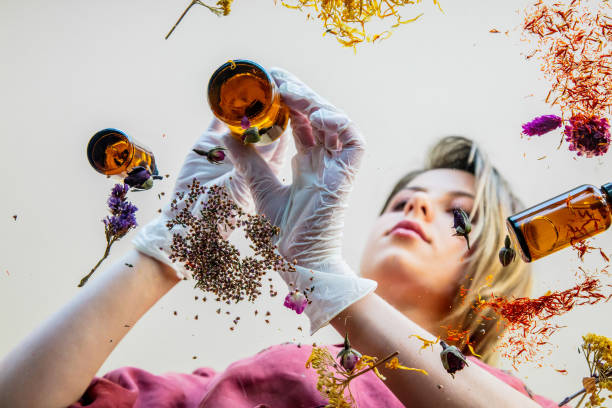 istock Young woman perfumer preparing herbs and flowers for make a perfume. Under table view. 1146824596