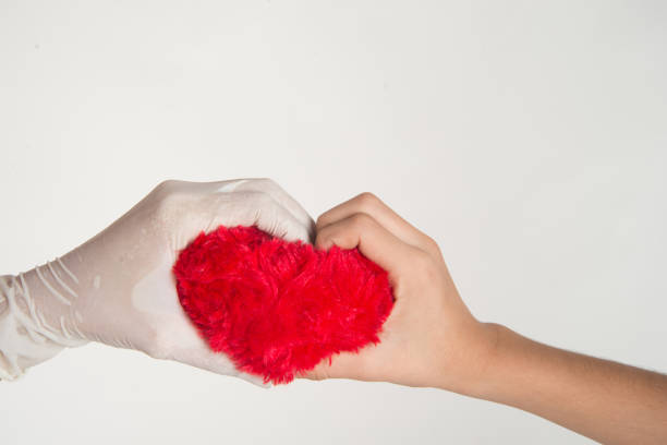 Kid and doctor hand touch each other whith heart in hand