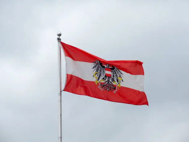 Photo of Austrian Flag with the Federal Eagle Coat of Arms on Grey Background