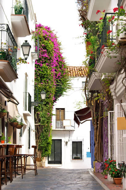 istock Typical Andalusia Spain old village whitewashed houses and shops in Marbella 1146828406