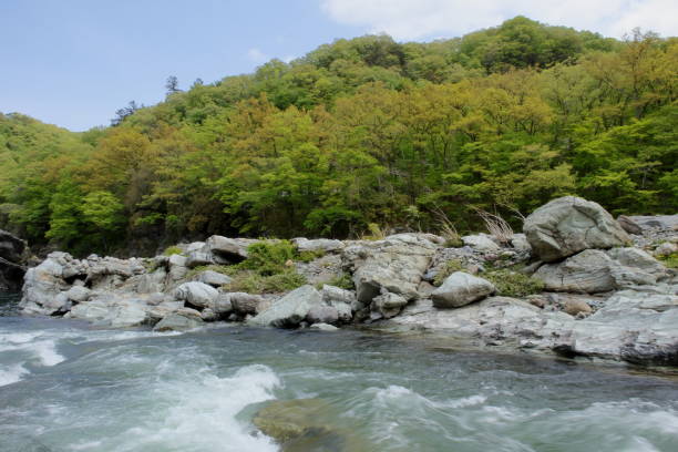 istock Scenery of Nagatoro, Japan 1146834302