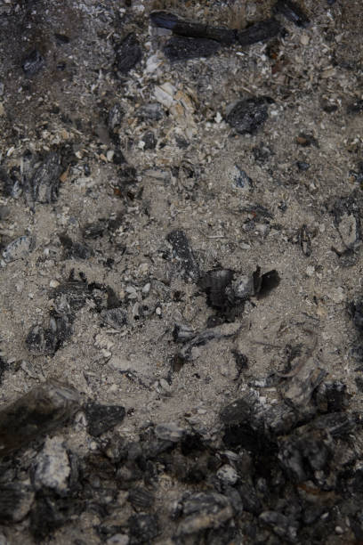 istock ash, close up of ash , background, isolated and textured 1146839662