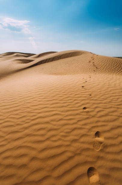 istock Human footprints in the sand in the desert 1146841837