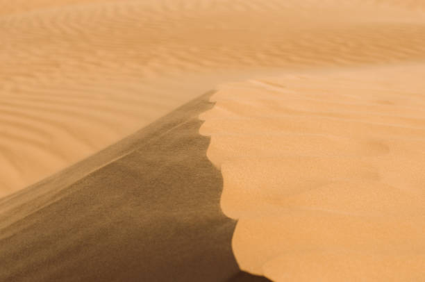 istock Desert with sand dunes on a clear sunny day. 1146841900