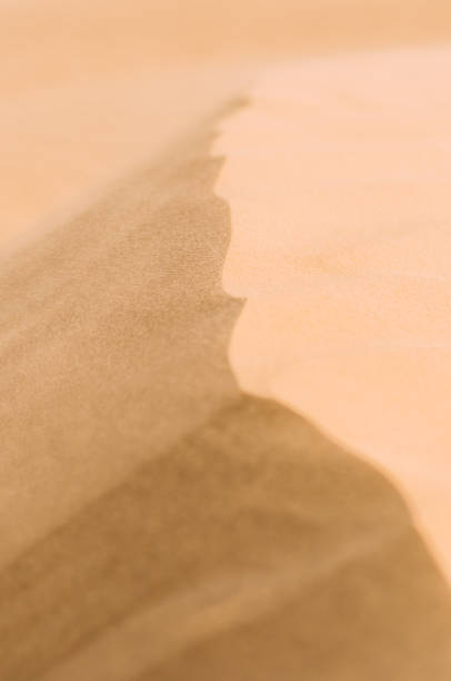 istock Desert with sand dunes on a clear sunny day. 1146842437