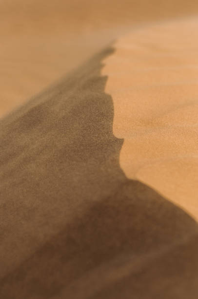 istock Desert with sand dunes on a clear sunny day. 1146842476