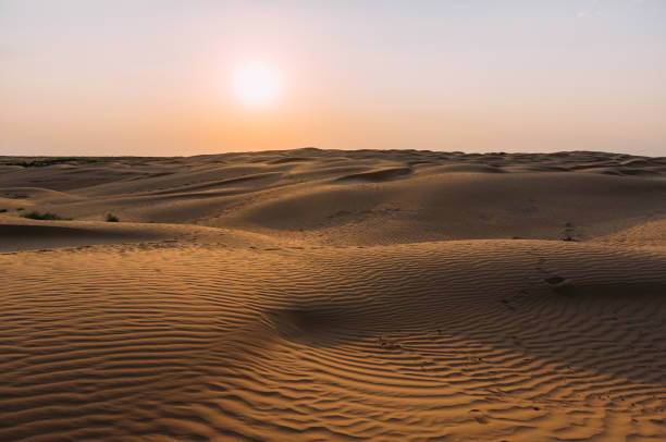 istock Human footprints in the sand in the desert 1146842943