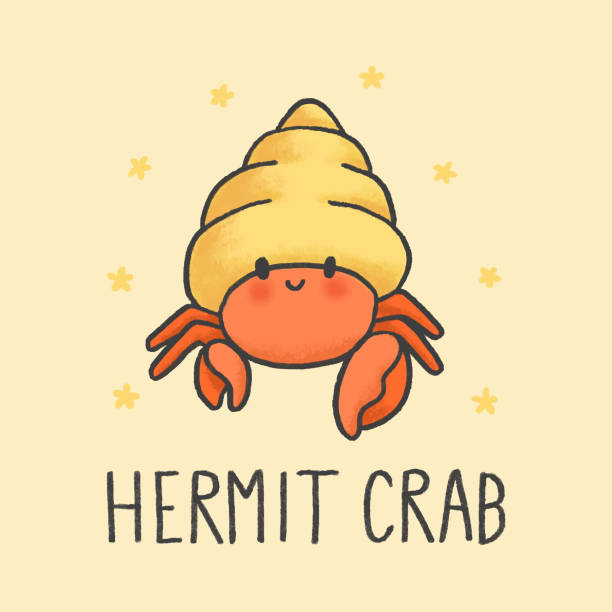 Cute Hermit Crab cartoon hand drawn style Hand drawn cartoon animal character. Hand drawing vector. Cartoon character design. hermit crab stock illustrations