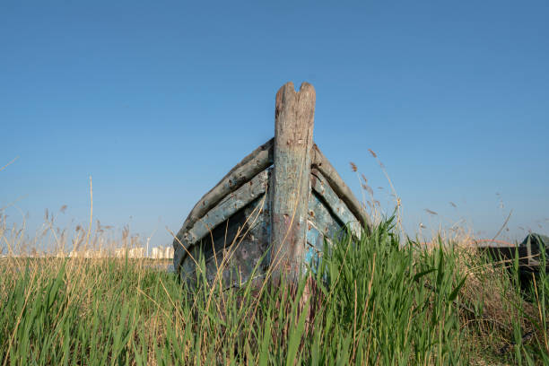 old fishing boats in grass