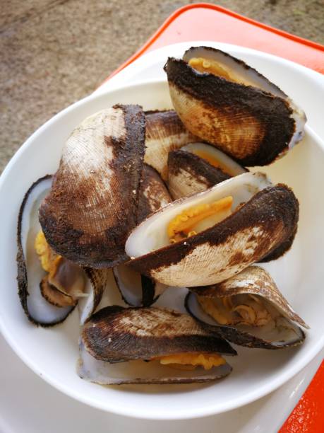 istock seafood barbecue on beach 1146851807