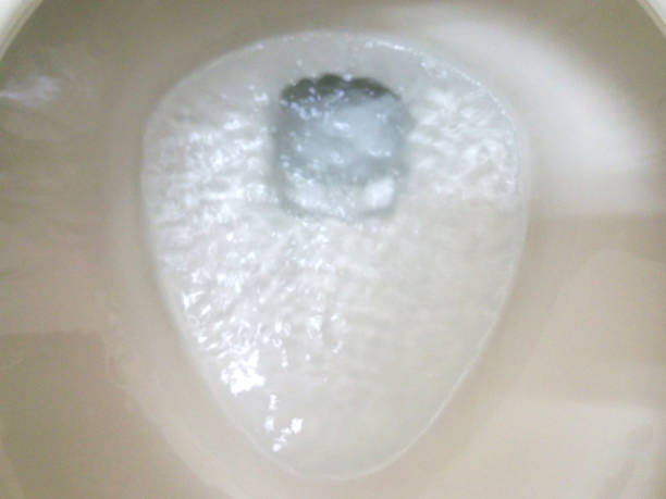 toaleta spłukiwana - toilet public restroom air freshener cleaning zdjęcia i obrazy z banku zdjęć