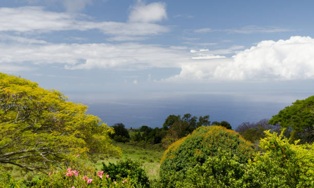 Green belt of coffee plantations on hills over Kona, Big Island, Hawaii stock photo