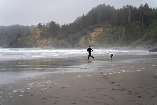 Woman walking a big dog on the beach of the Pacific Ocean in Trinidad, California, USA