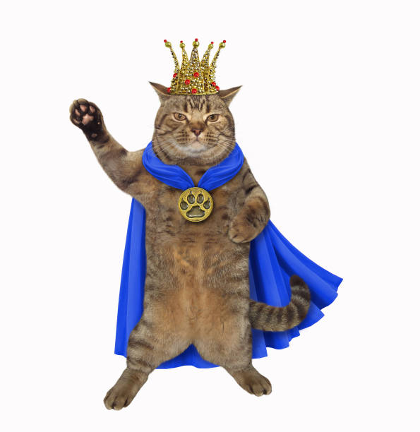 istock Cat king in a blue cloak 1146856905