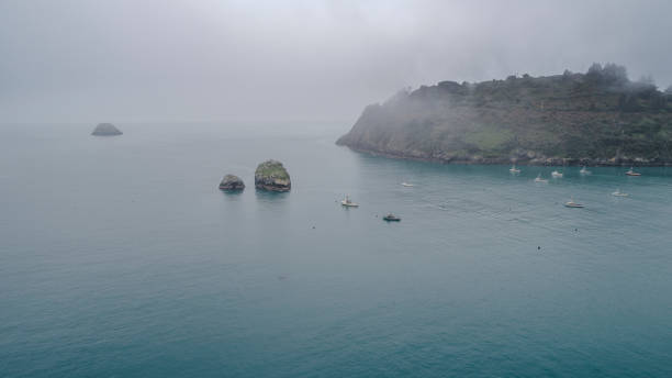 yates en el podee en el día tranquilo de niebla. océano pacífico cerca de trinidad, costa oeste, california. - humboldt county california coastline island fotografías e imágenes de stock